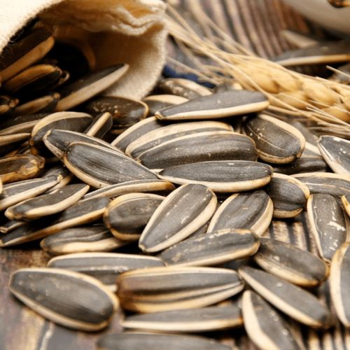 事關(guān)春節(jié) 兩當(dāng)人速看